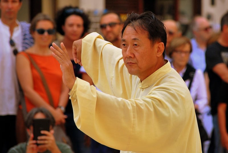 Sun Style Tai Chi Movements